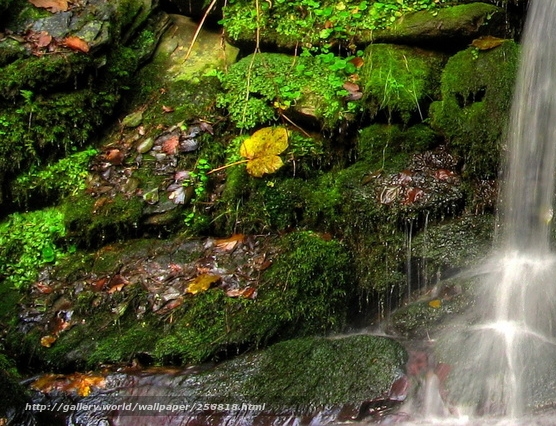 中国的陆地面积居世界第 位