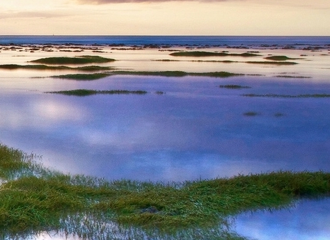 u19男篮世界杯决赛