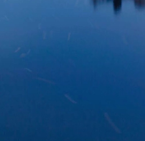 滨州华建铝业和魏桥