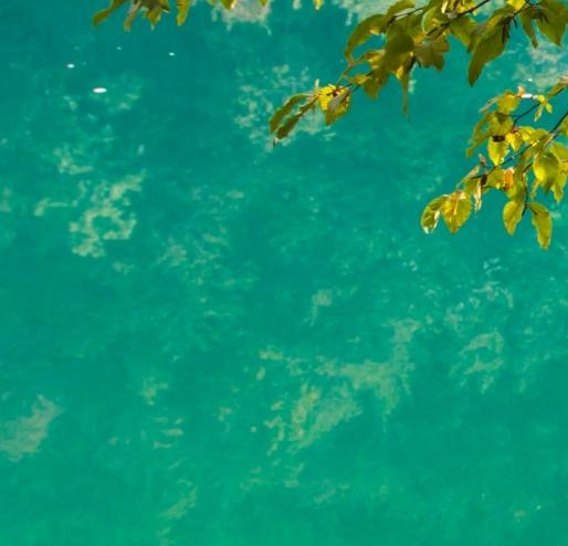 梦幻世界的画怎么画