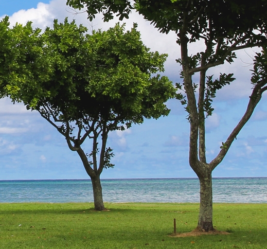 新中国的新科技手抄报内容