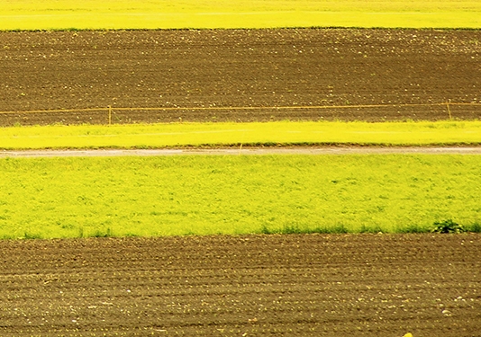 科技使人进步的例子