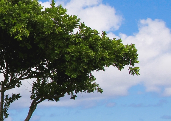 我的世界最好听的几首歌