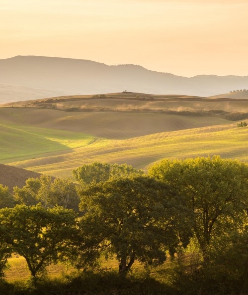 深圳众迈科技有限公司招聘