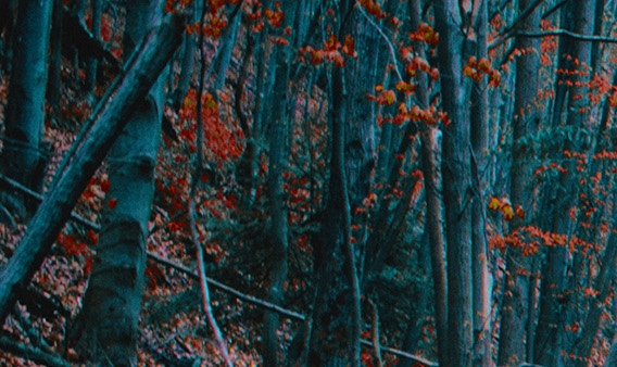 江苏华天宝药业有限公司