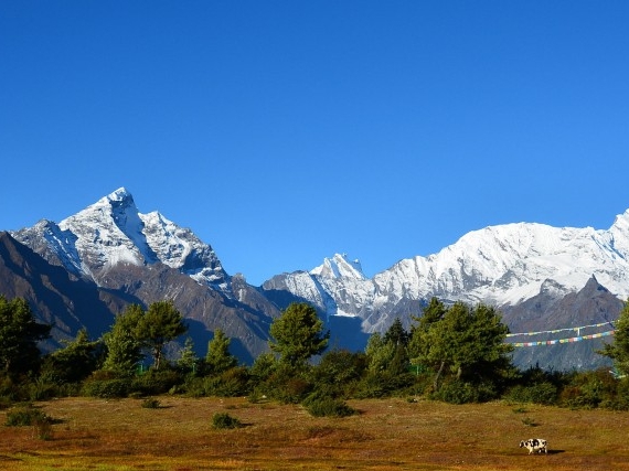 北京安厦象牙塔科技有限公司官网