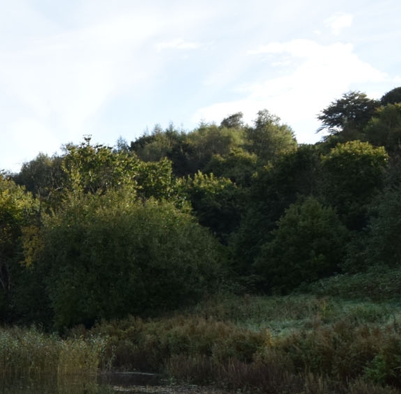 各国电价排行榜