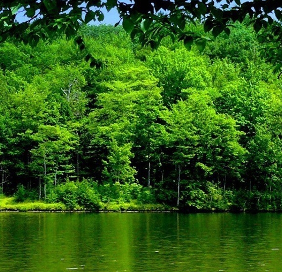 世界上长得最恐怖的人