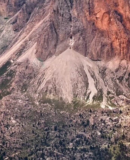 上海科技技术学院三校生自主招生条件