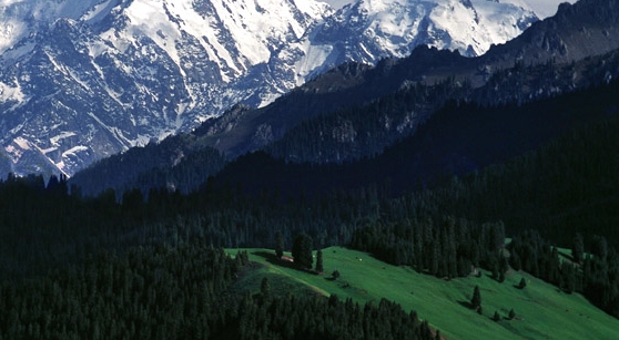 构成客观世界的三大要素分别是