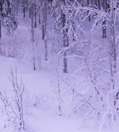 中国大数据公司排名10强