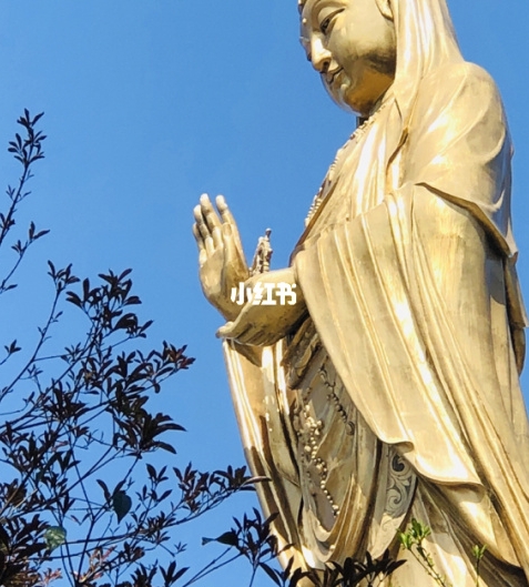 杭州泛城科技有限公司官方
