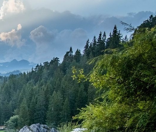 放大镜下的角会变大吗