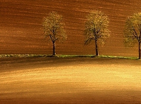 谈谈科技生活与社会发展300