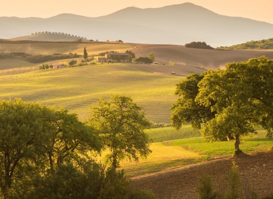 我的世界下界疣怎么获得