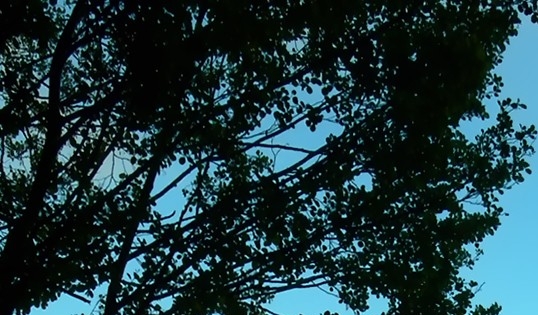 日海科技股份有限公司