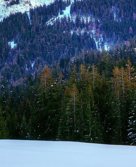 河北英创科技有限公司 天眼查