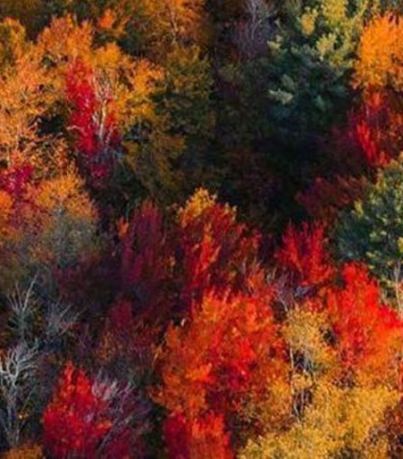 花都冰雪世界门票价格