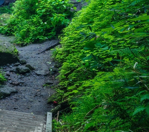 中国制造在世界的地位议论文作文