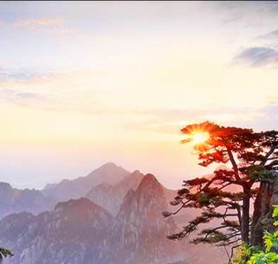 暖暖环游世界梦的启示高分