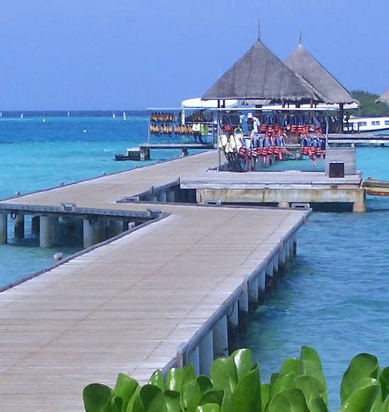 和宇健康科技股份有限公司招聘