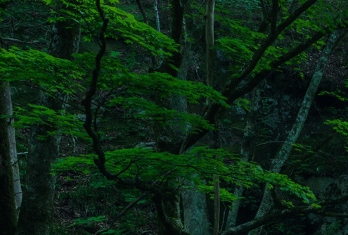 丰石科技面试