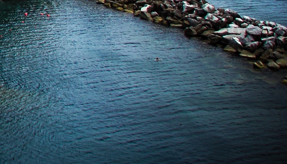 魔兽世界板甲职业哪个跑得快