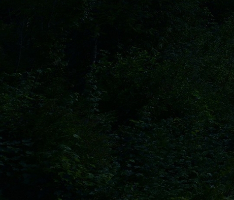 丝路欢乐世界营业时间