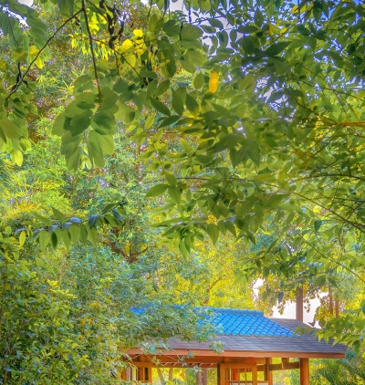 圭尔夫大学世界排名最新