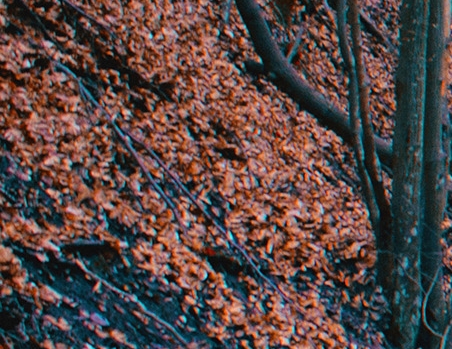 光岳科技