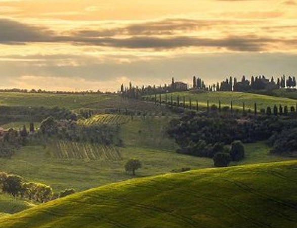 江苏基久网络科技有限公司怎么样