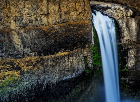 米哈游10大股东