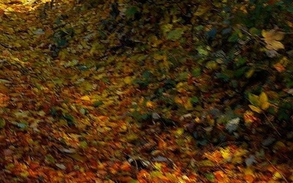 传奇世界官网电脑版