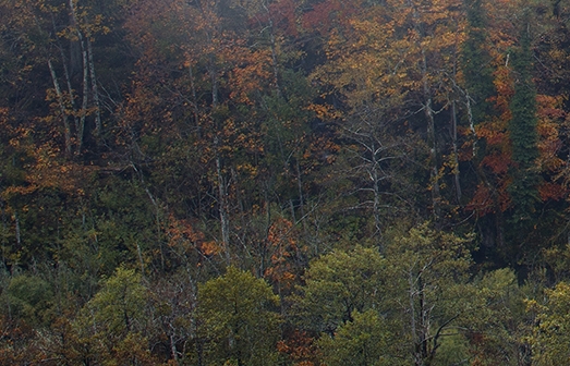 传奇世界电脑版官网还能玩吗