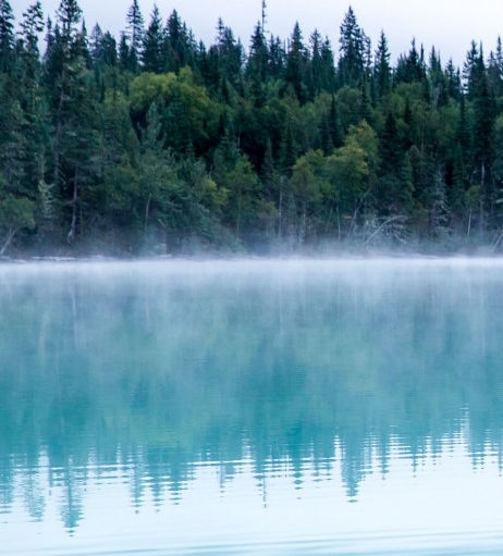 平凡之路全部演员表