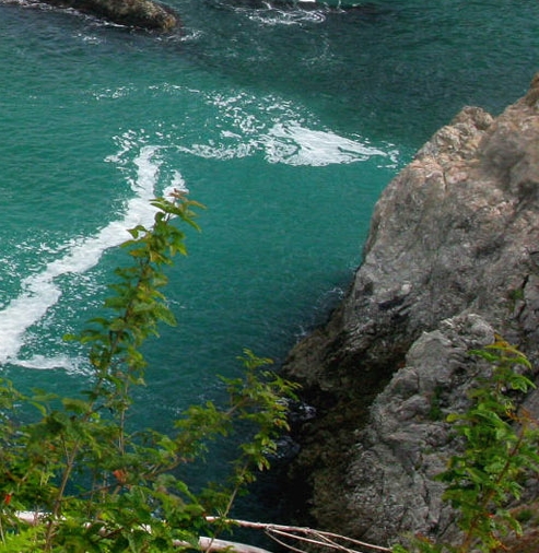 宁波大学科技学院好吗