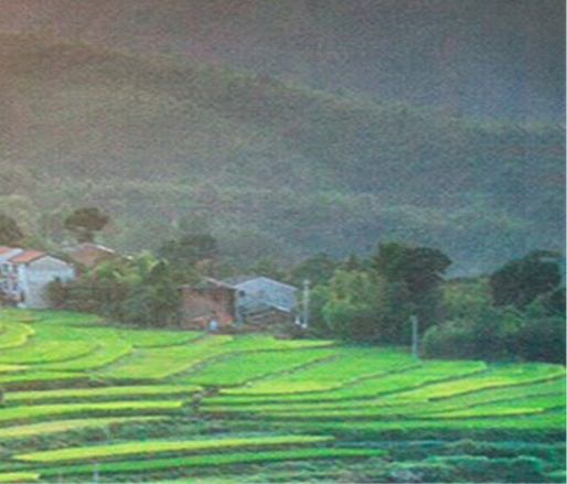 上海久游网络科技有限公司有什么产品