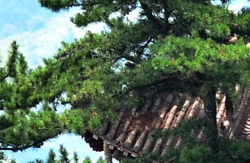 纳思达科技:纳思达科技有限公司：专注打印技术，提供全面电话支持