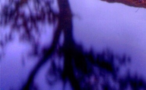 金陵科技学院占地面积多少平方公里