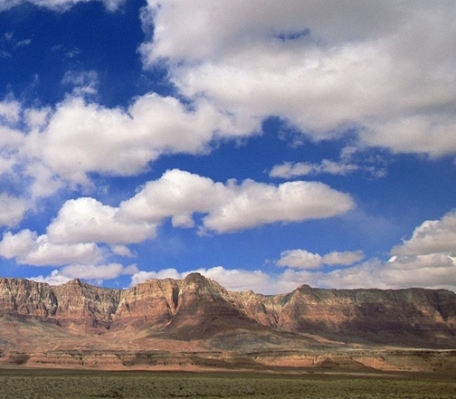 雷蒙威官网中国