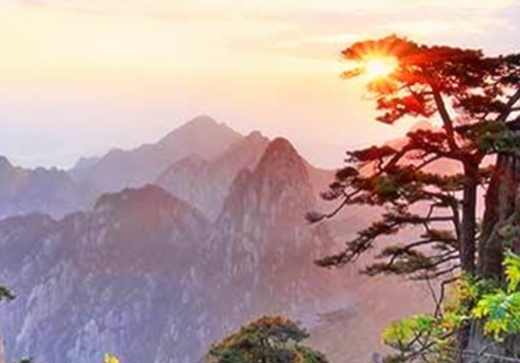 上海旅游攻略三日游