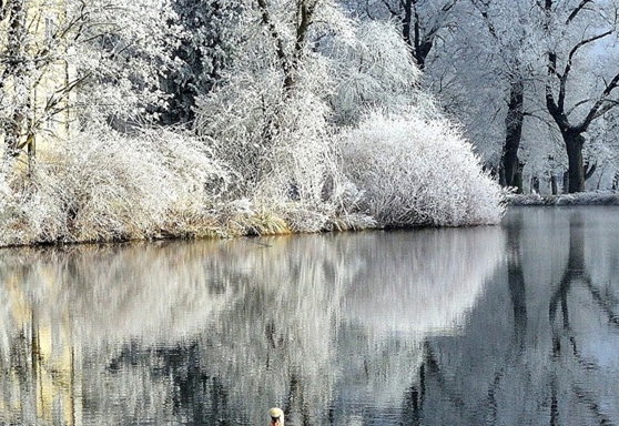 穿越小说世界,开局退婚失败
