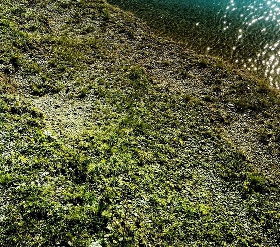 北京生物公司排名