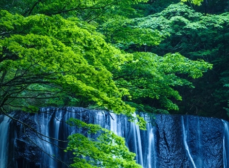 世界之窗解说词