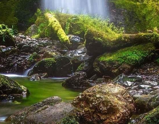 世界乒乓球女子排名第一