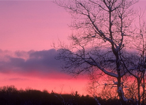 世界无烟日小结