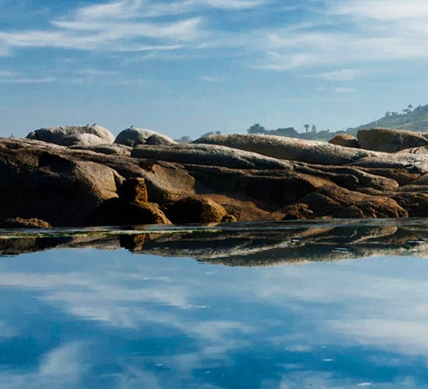 水粉海底画台词