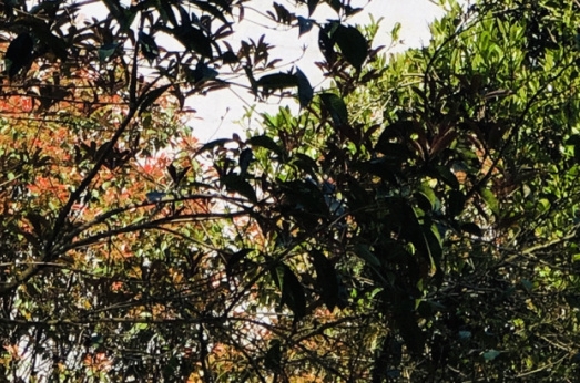 二战是谁救了中国