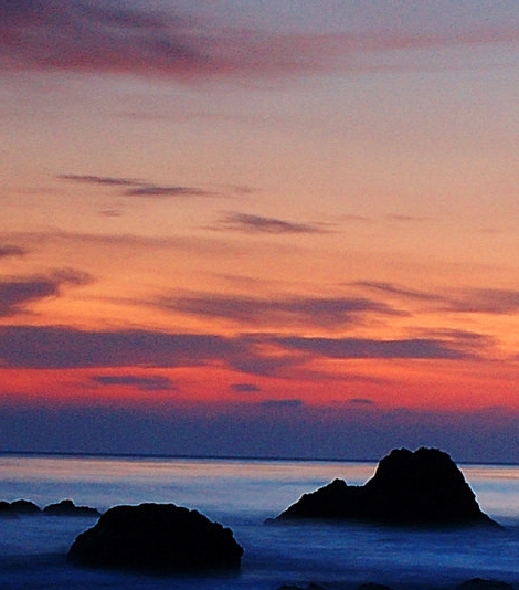 世界乒乓球女子排名前十名