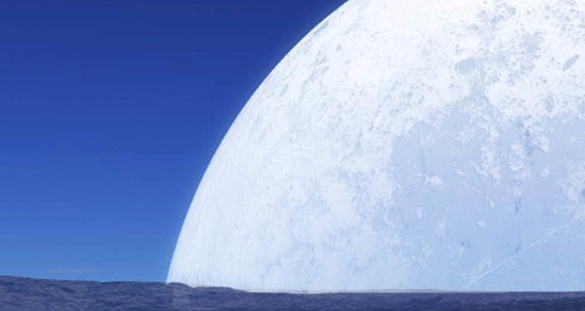 最大的鲶鱼能长多大